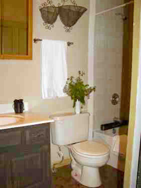 410 East Mill Street 2nd Bathroom